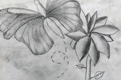 Athelstan Primary - Sheffield