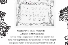 Windsor D. St Brides Primary P6 Part 1
