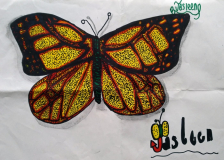 Jasleen-Y5-Wells-Primary-Essex