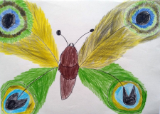 Maisy-S-P5-St-Gerardine-School-Moray