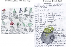 Katey-P7R-Kirkhill-Primary-School-Page-1