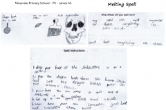 James-M-P5-Mossvale-Primary-School