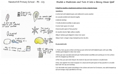 Lily-P6-Newtonhill-Primary-School