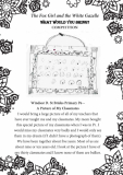 Windsor D. St Brides Primary P6 Part 1
