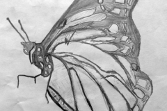 Park Lane Primary - Reading