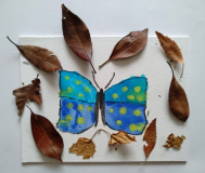 Anonymous-Abernyte-Primary-Perthshire