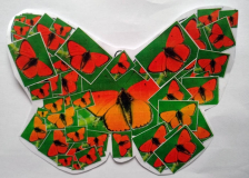 James-Y6-Garston-C-of-E-Primary-Liverpool