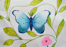 Kayla-M-P7-Rhu-Primary-Helensburgh