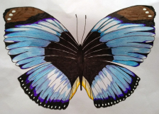 Valeria-C-P5-St-Cuthberts-RC-School-Edinburgh