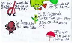 Emilie-P7-Skene-Primary-School-Page-1