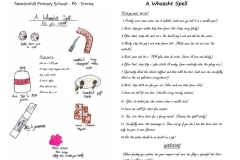 Emma-P6-Newtonhill-Primary-School
