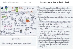 Rose-P7-Baldernock-Primary-School-Page-1