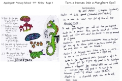 Finley-P7-Applegarth-Primary-School-Page-1