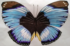 St Cuthbert's RC School - Edinburgh