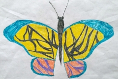 St Mary's Catholic Primary - Kent