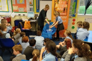 St Mary's Primary Cumbernauld