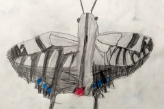 St Peter's CofE Primary - West Sussex 1