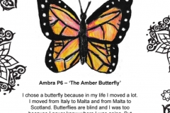 Ambra Pannozza P6 Springfield