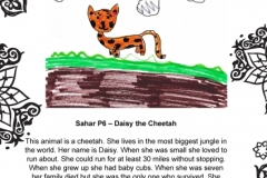 Sahar Faizi P6 Tinto