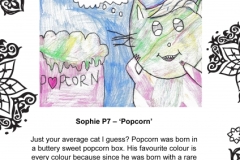 Sophie McMahon P7 Townhill