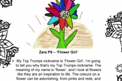 Zara Pearson P6 Springfield