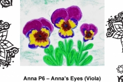 Anna Kanibolotska P6 Tinto Part 1