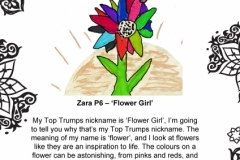 Zara Pearson P6 Springfield
