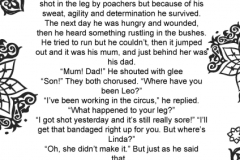 Leo Fisher P6 Tinto Part 3
