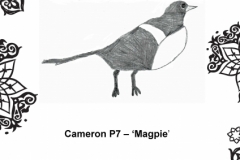 Cameron Wood P7 Townhill Part 1