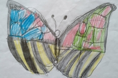 Thomas Muir Primary P4 and P7 - East Dunbartonshire