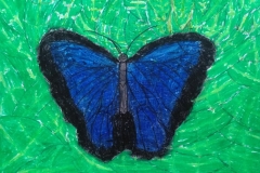 Thomas Muir Primary P5 - East Dunbartonshire