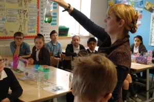 Tinto Primary