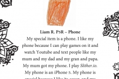 Liam R. P5R Tinto Primary