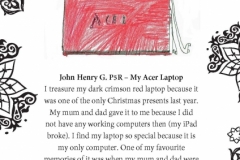 John Henry G. P5R Tinto Primary