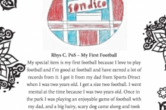 Rhys C. P6S Tinto Primary