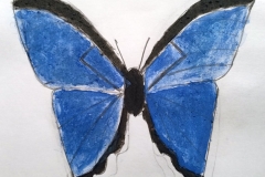 Tudor Grange Primary Academy - Warickshire